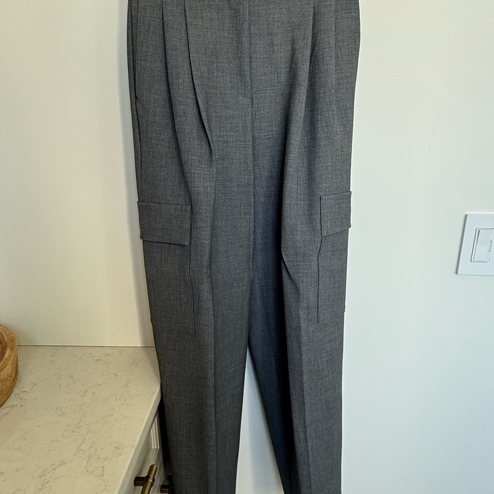 Aritzia Babaton spotlight cargo pocket pants